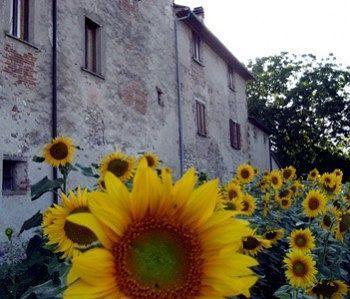 La Casa Nova Villa Sansepolcro Exteriör bild